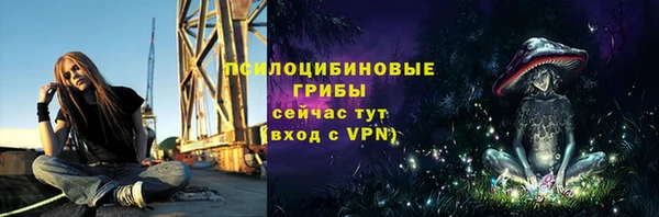 спиды Алексеевка